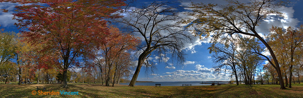 Willow Bay #8524