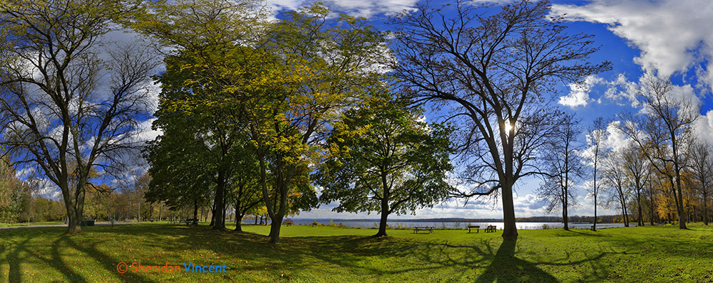 Willow Bay # 8596 Wider