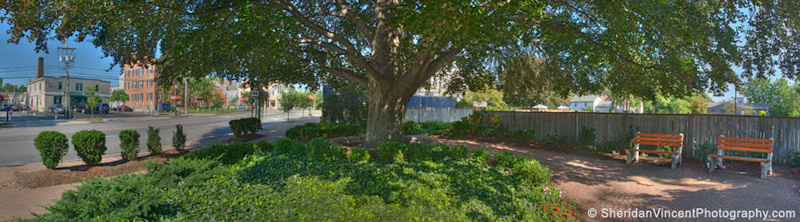 Pittsford Copper Beech Park by Sheridan Vincent