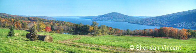 Candandaigua Lake by Sheridan Vincent