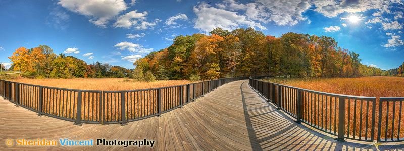 Cycle Bridge by Sheridan Vincent