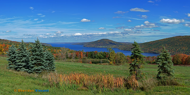 Canandaigua Lake #2 by Sheridan Vincent