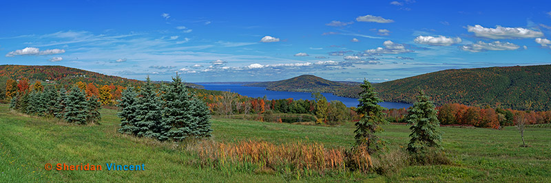 Canandaigua Lake #2 Widest by Sheridan Vincent