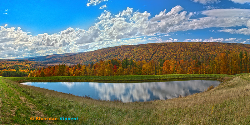 Hillside Pond 2 by Sheridan Vincent