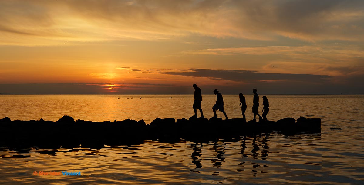 Five on the Rocks by Sheridan Vincent