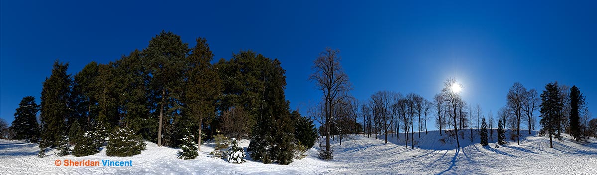 Sledding Hill: Highland Park by Sheridan Vincent