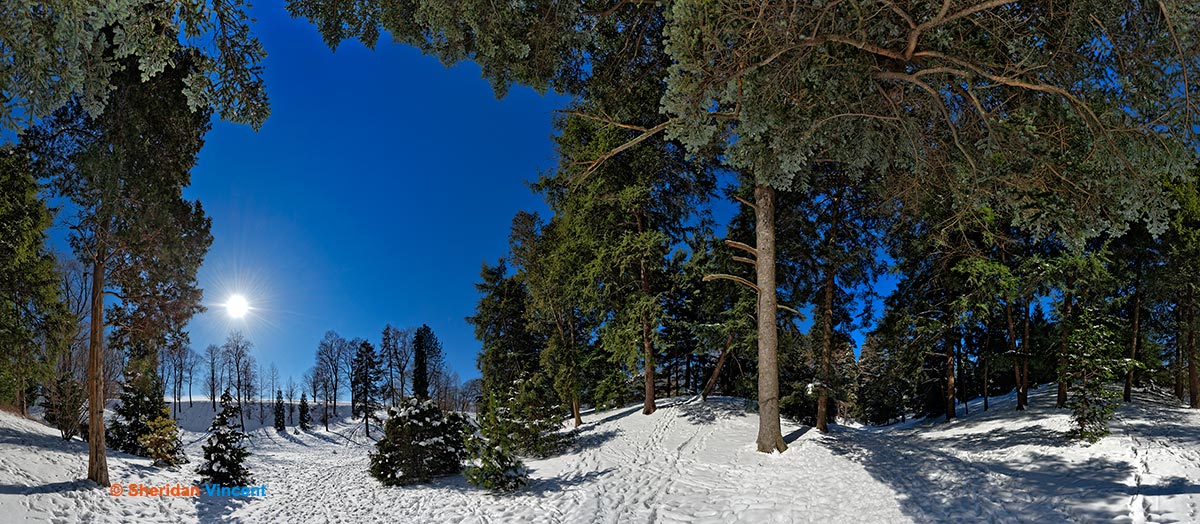 Cross Country: Highland Park by Sheridan Vincent