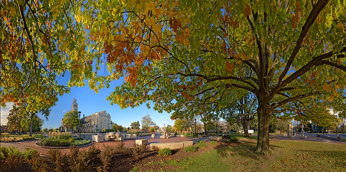 Oak: Memorial Art Gallery 2 by Sheridan Vincent