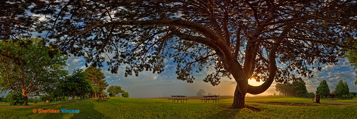 Fog on the Beach by Sheridan Vincent