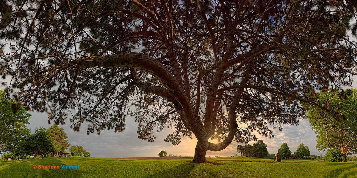 Solstice Sunrise 2015 by Sheridan Vincent