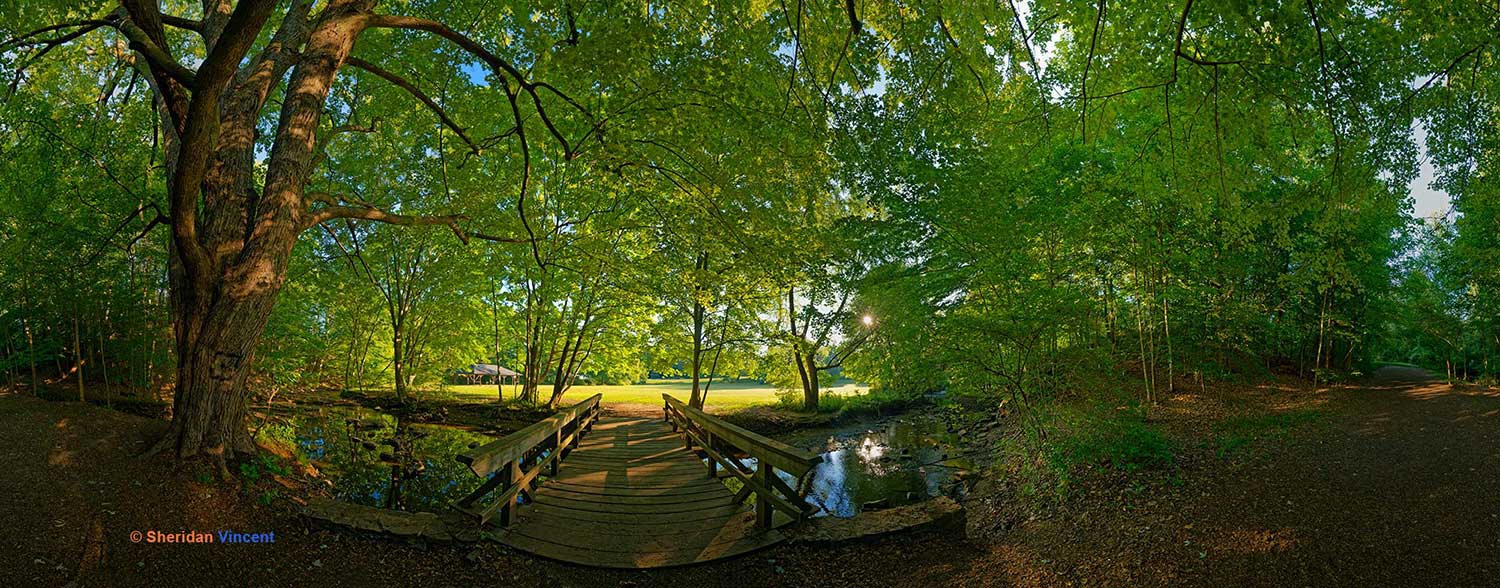 Webster Park Foot Bridge
