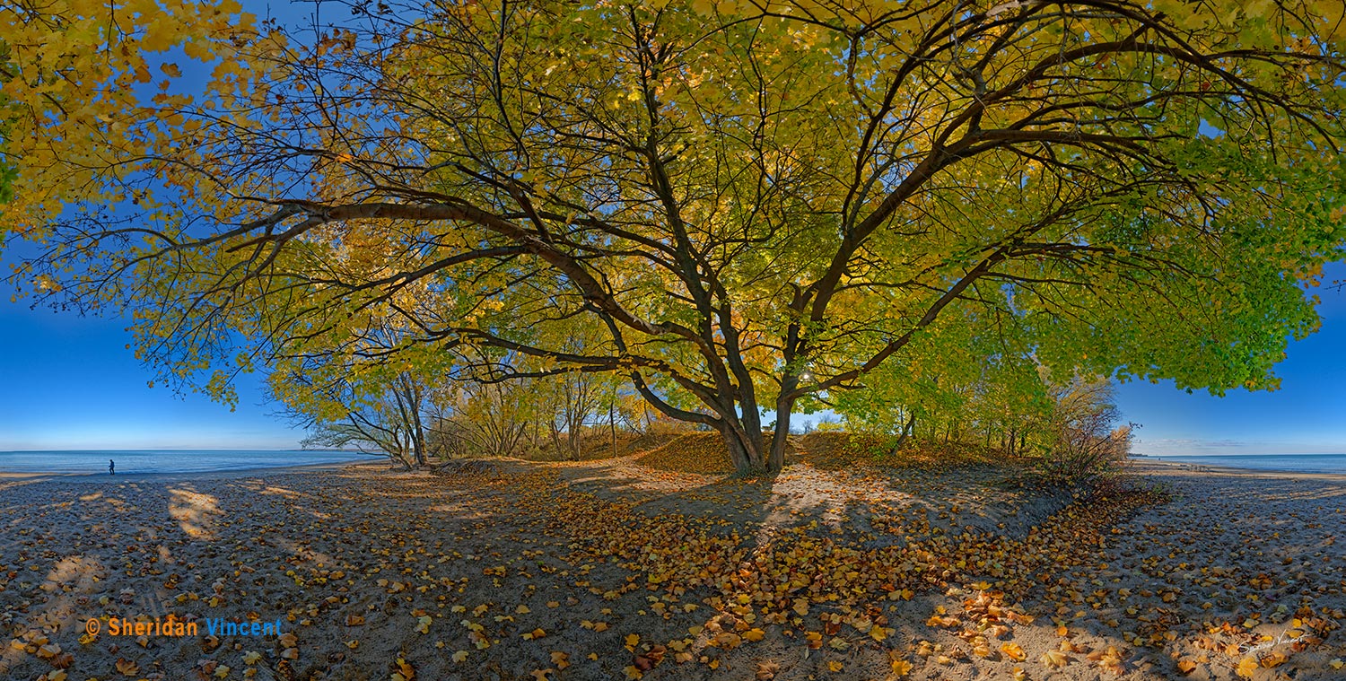 5 Maples Durand Beach