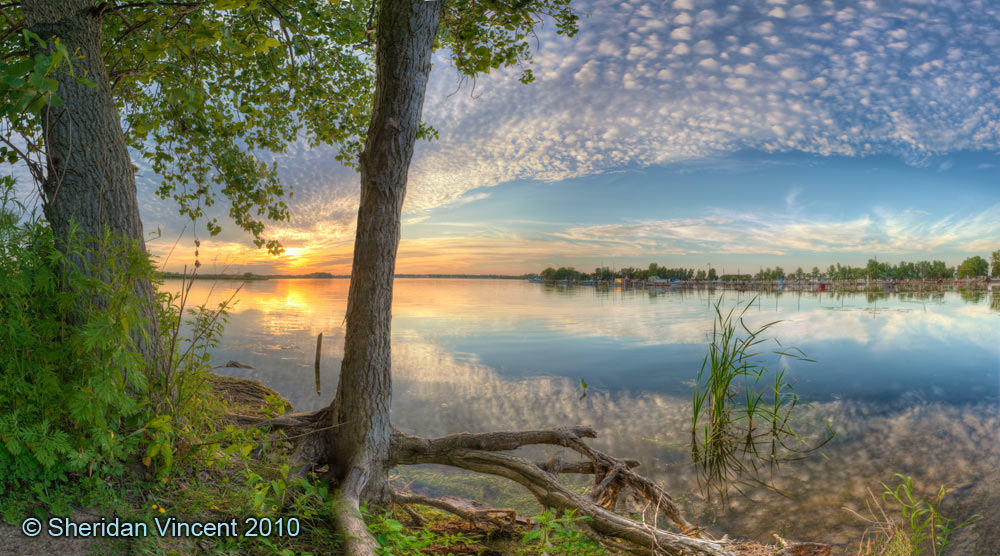 Summer Sunset 2010 by Sheridan Vincent