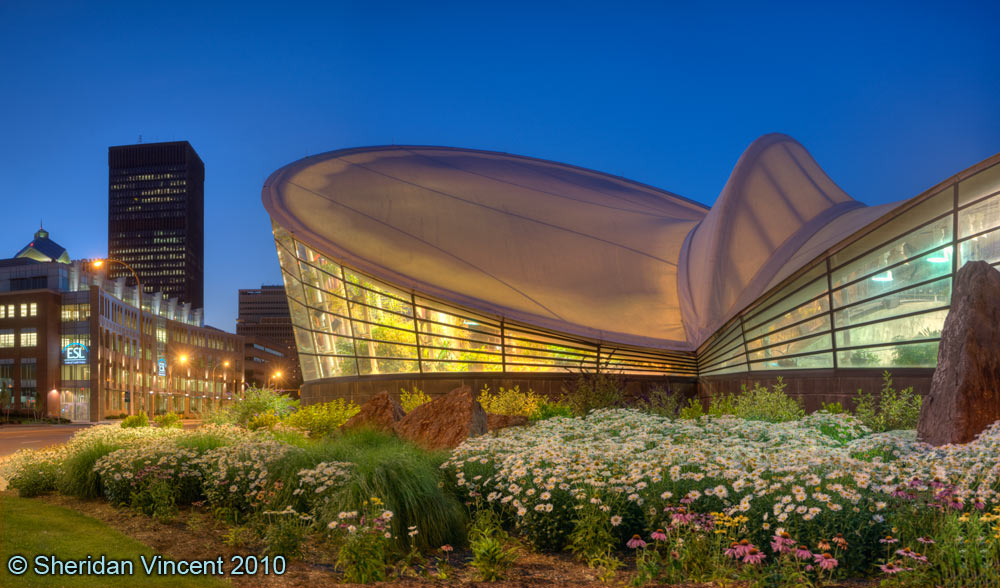 Strong Museum Butterfly Atrium # 